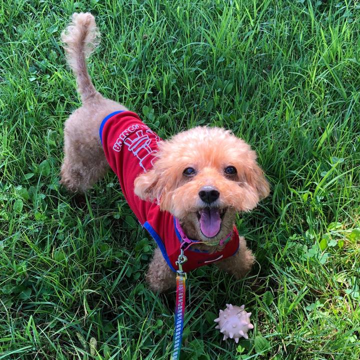 28ab853f d896 4a4e 8ade 1841ac7e4fcd 1567774275076