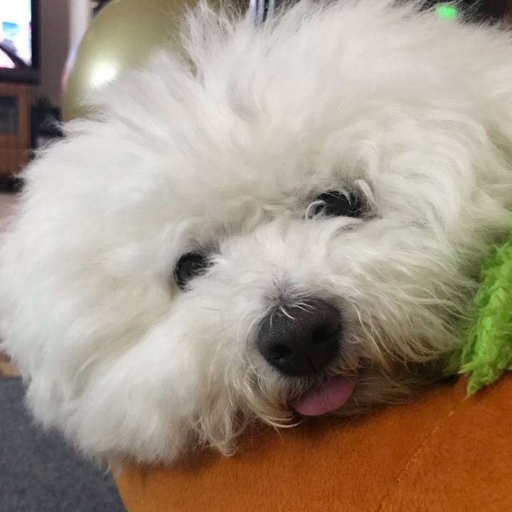 28ab9ce2 a152 4b9b 91c1 9622da475c1c 1588738915441