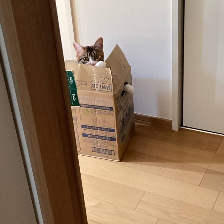 28abe429 1a42 4e4e af35 bdf4ec23749e 1649760340473