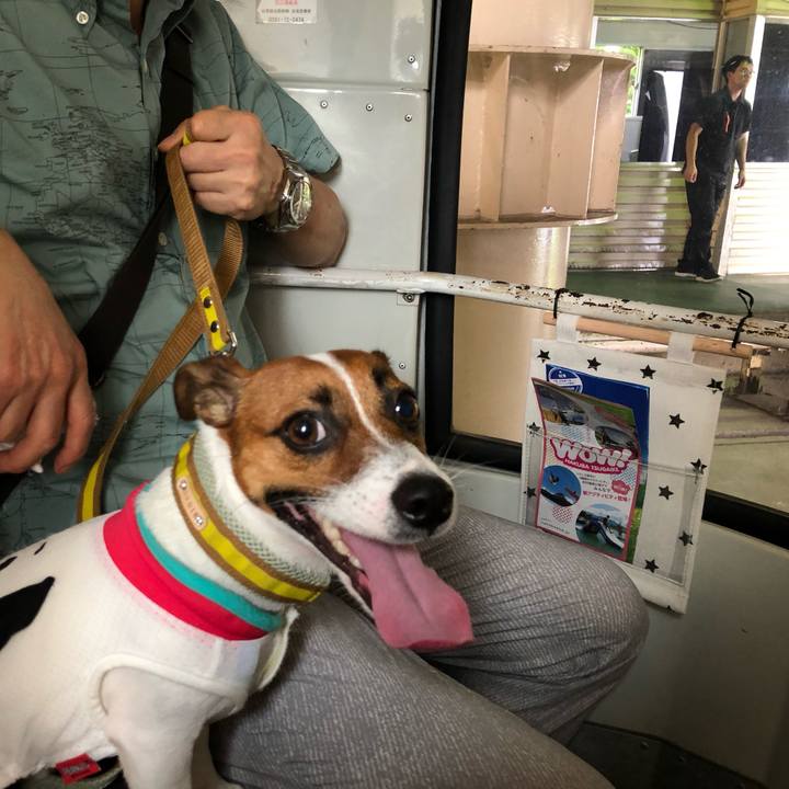 28ac0e5b 17ec 4e4e a442 f7e8d7528a19 1565347705025