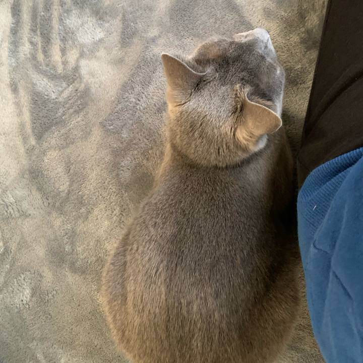 28ac217c 4e73 47f3 9558 dec399fa517c 1611123736070