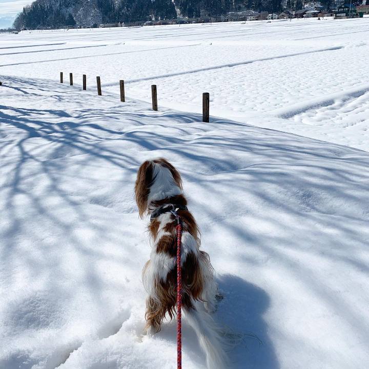 28ac3135 17b0 42e2 9e95 637b696c45dc 1581480446343