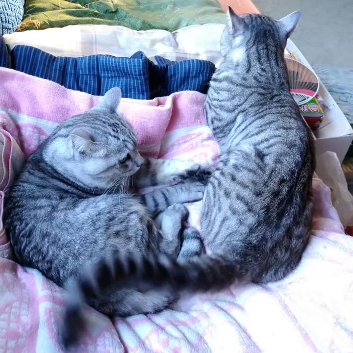 28ac4d42 a008 44c5 948d 040faa3e948f 1632724154646