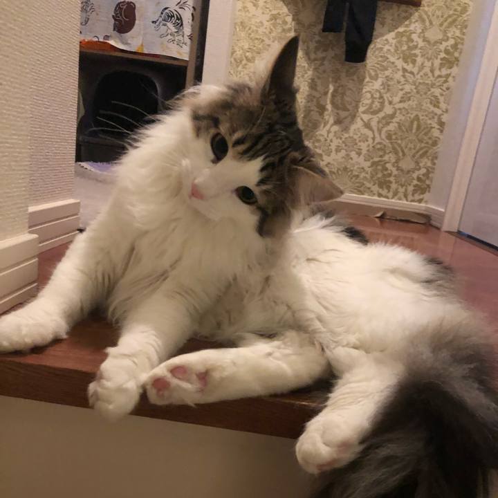 28ac574c e9c7 4676 bc0a 280516326971 1521678555819