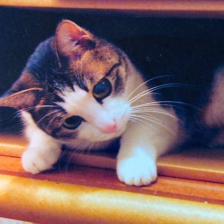 28ac91cb 0a35 4dc1 bb95 178293df9ef9 1586651820878