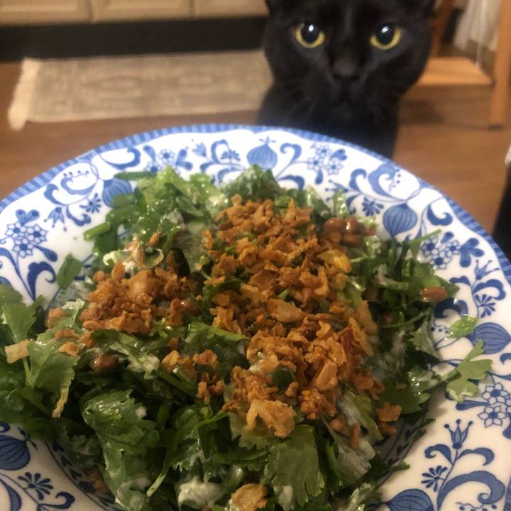 28ac9836 b0b9 4e03 af3a 508be5ceb5a5 1649841722523