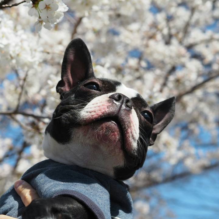 28aca526 88d3 4ba5 9b7a e5af61ed4b02 1521943607291