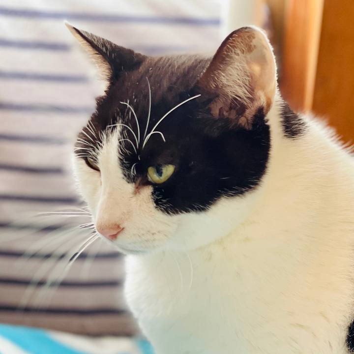 28acd423 b7cc 4fac 80d5 6903fd3f0cc0 1605321130233