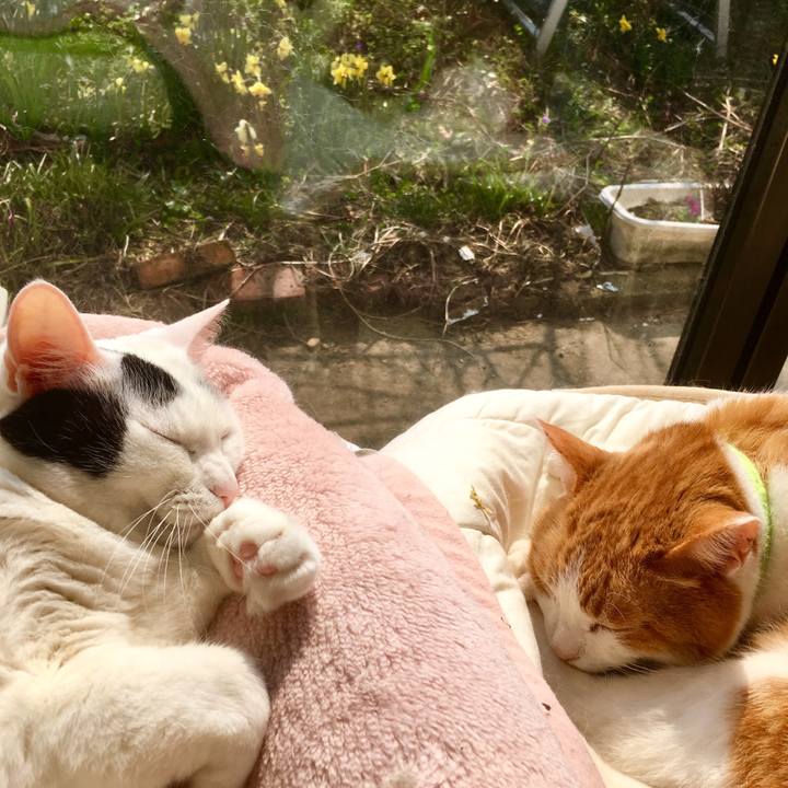 28acd725 1564 4de1 833e ff5ed853fbfb 1554439765309