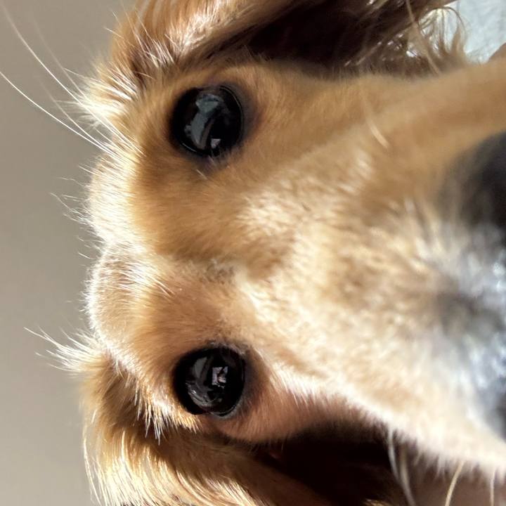 28acf0c3 bf41 4015 93f9 dd83195b46f9 1728634849715