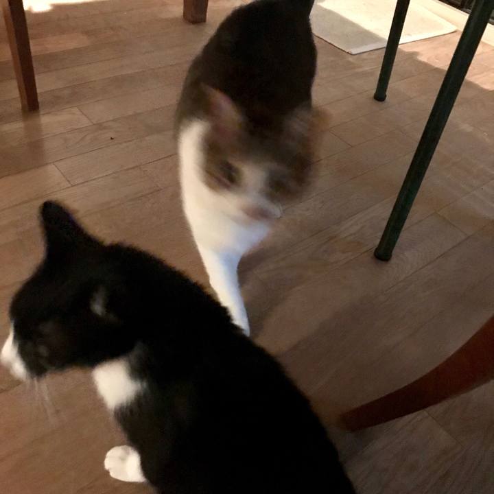 28acf690 38ae 4433 b4c1 cc931757d9e4 1521262937630