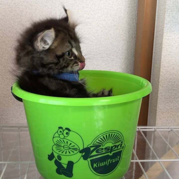 28ad00d4 5315 4b59 b7b7 2b758b7bb584 1641390853664