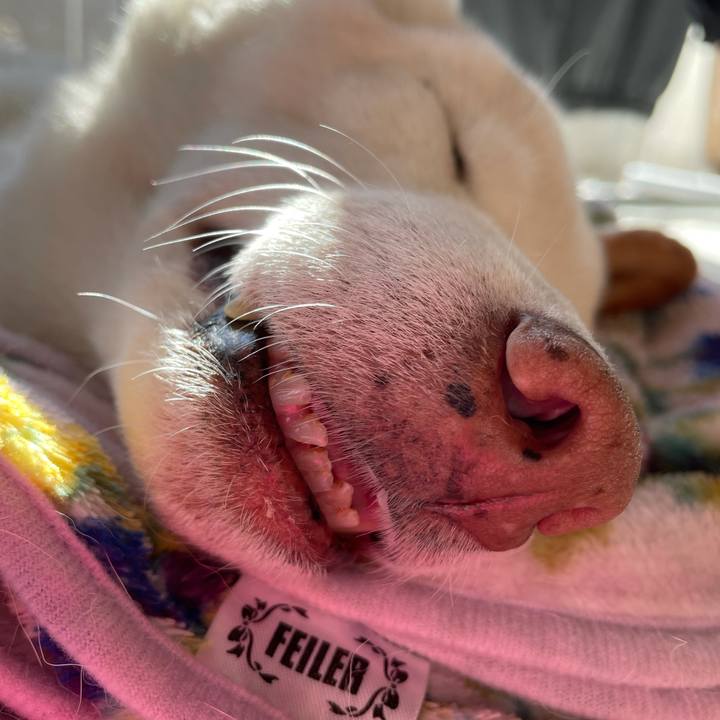 28ad3576 79a9 4e8d 944b b8a1358c86ad 1640007506864