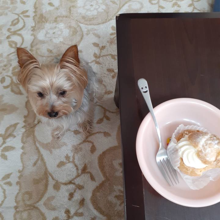 28ad39a7 06d9 4fe4 b5fc 544ebf3e944b 1622961276556