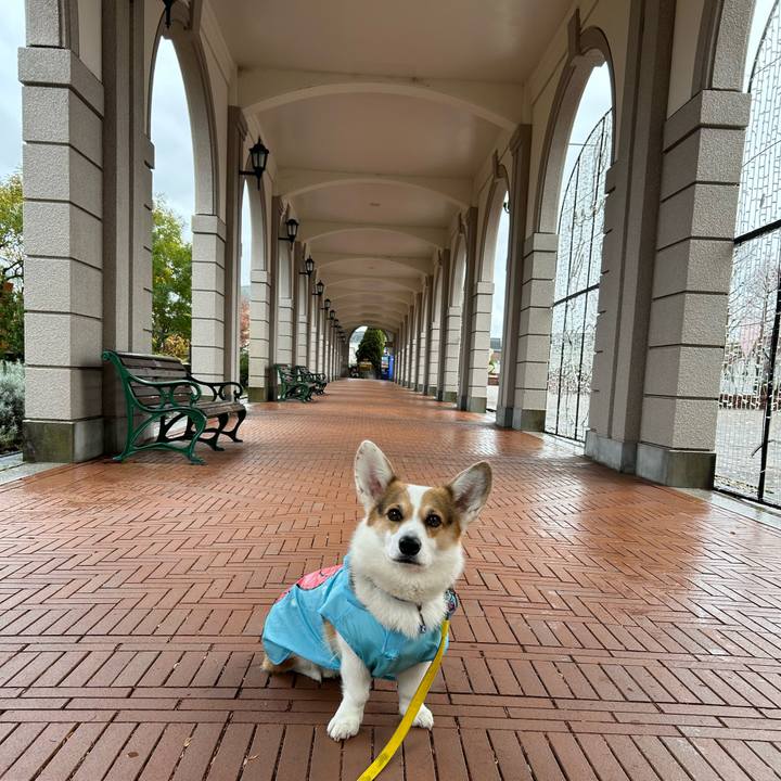 28ad45d8 f21d 439f a851 9820531fc341 1766647551655