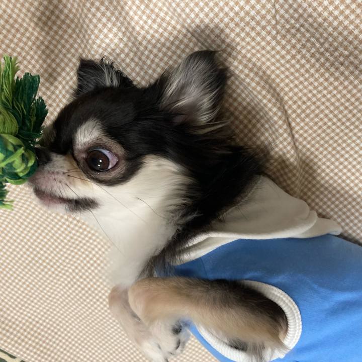 28ad4bc2 9308 4c33 ab53 fcbfb05cd6e6 1648390866225