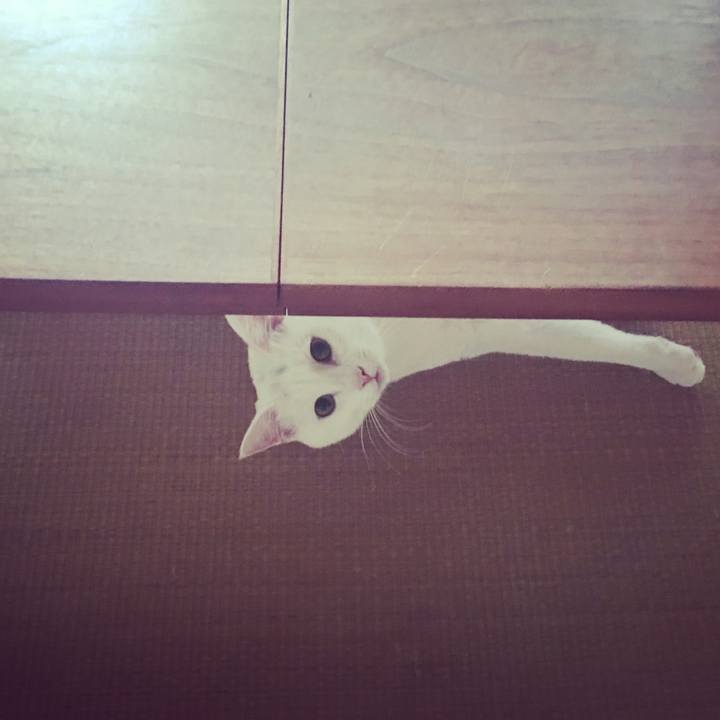 28ad755c 2969 4ee5 a523 c3ec6ca72567 1512690962023