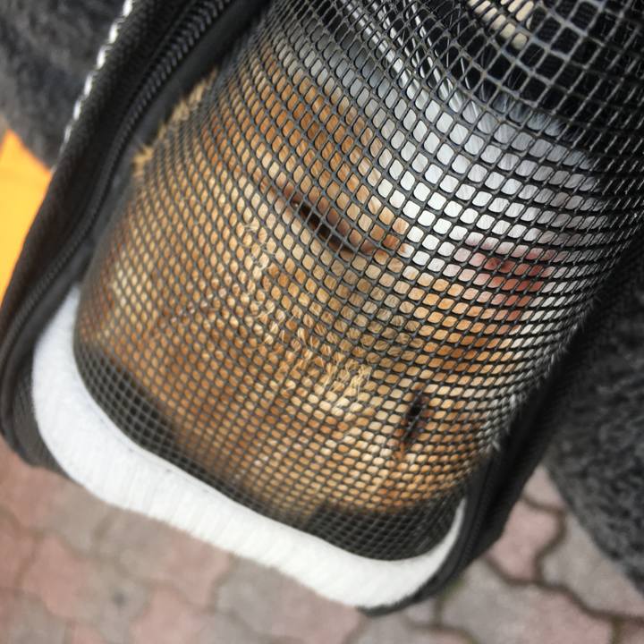 28adb118 8844 4edd 8134 3f49ea42023d 1509768092914