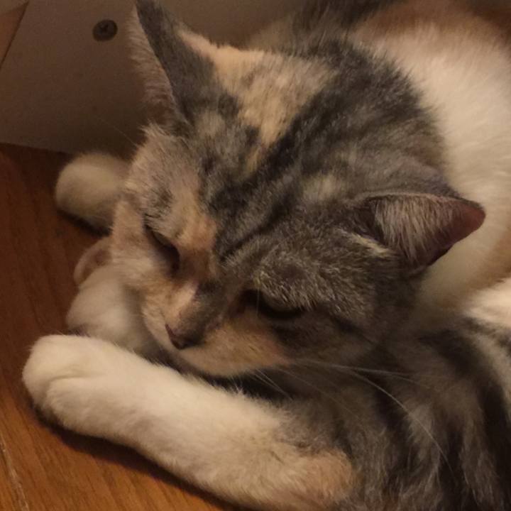 28adb4a8 7740 4c24 9048 d7ffa5e95e24 1565366924352