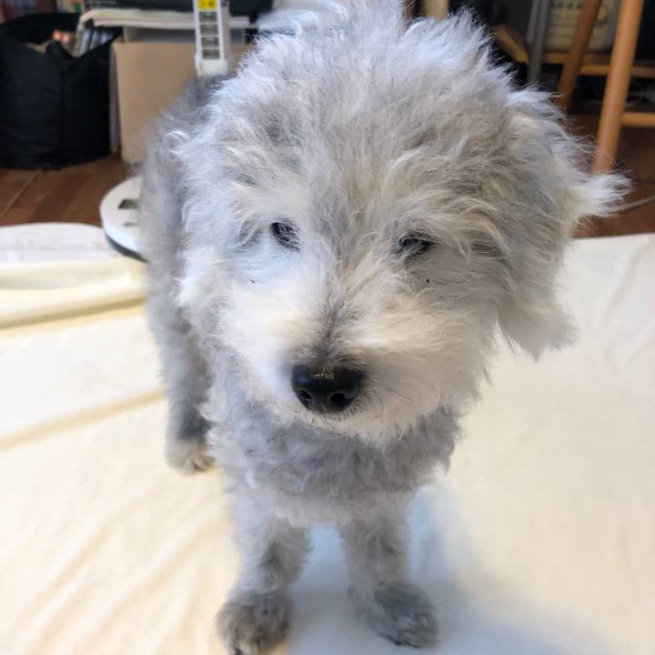 28aded7b 54fe 45d0 b327 a23c119095cd 1596155748626