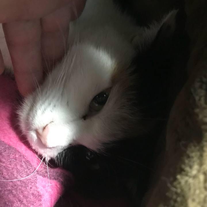 28adfe14 d47e 4532 a1ad 38e2a5f5b350 1516175633191