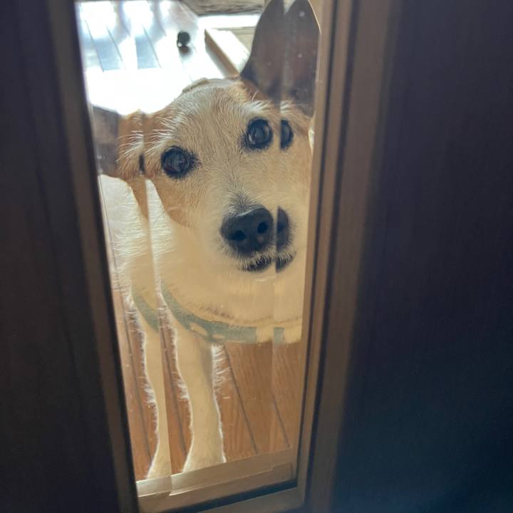 28ae3bab 4d43 444d b03e 2be0dd26a94d 1740439921329