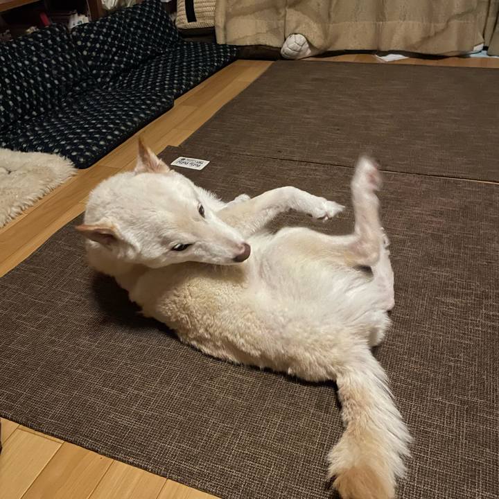 28ae3f17 d0fd 4c02 b17d 74e95e800376 1666372062136