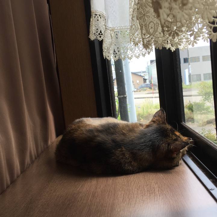 28aea21f d582 4383 af93 bf90e765f772 1569120663973