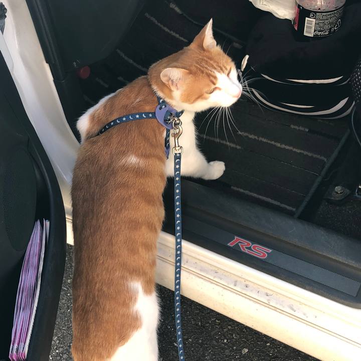 28aecfb2 7a3f 45ce 951b 00ef9acf4400 1542512940920