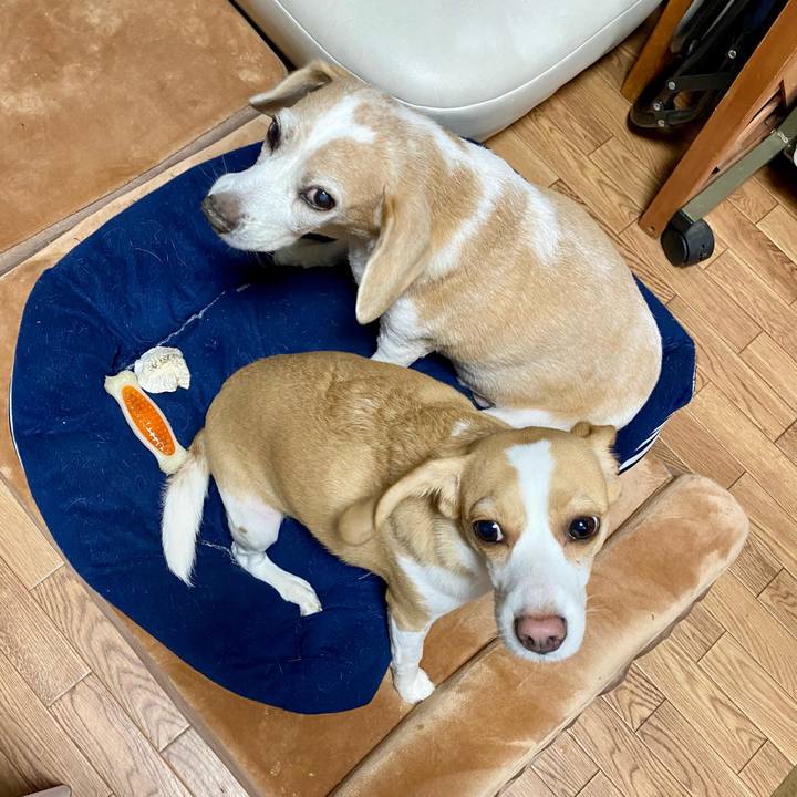 28aef332 749f 4a7a a2f6 073127c4fd9d 1607769343770