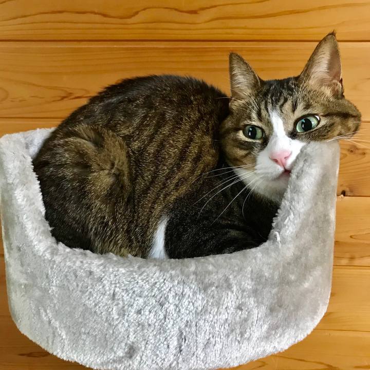 28af5544 8c84 48c3 8197 8720df4eb45e 1518355650862