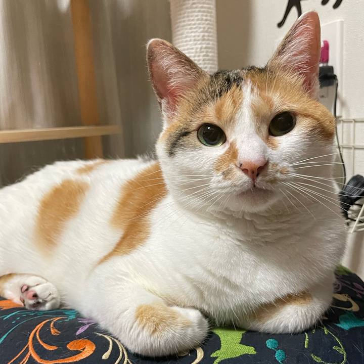 28af686e 84cf 438b a387 b57d075e80c2 1656944603689