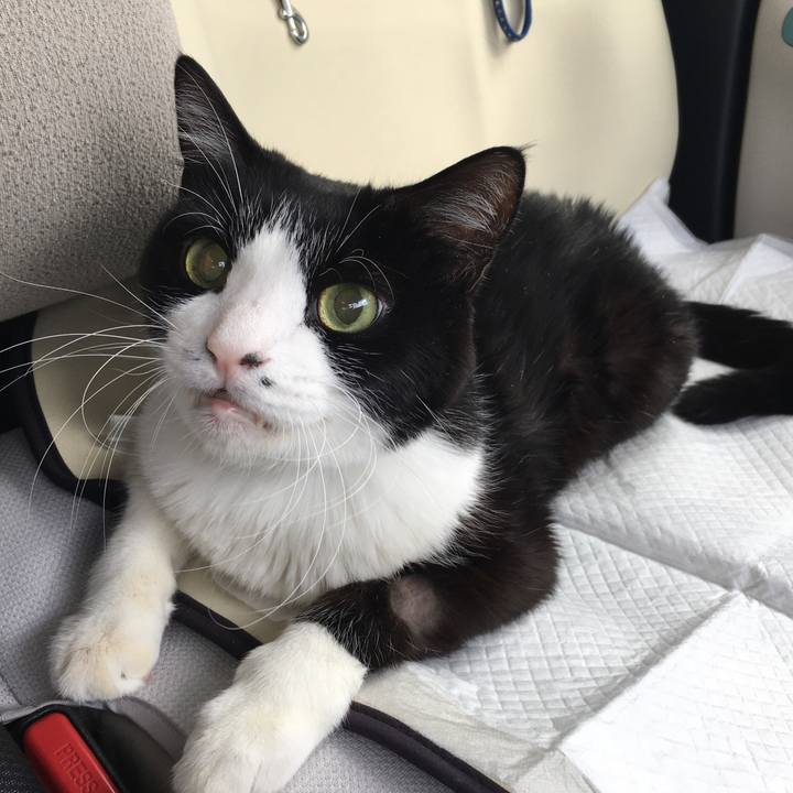 28af762a ee08 4763 be24 13b3eb8cf35a 1592992603721