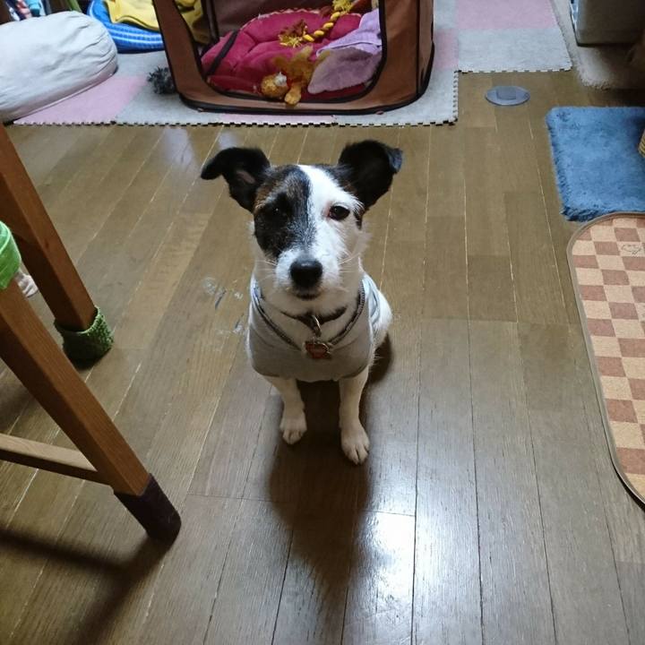 28af85f5 dd53 4821 8e78 46dbfde1800f 1507897987141