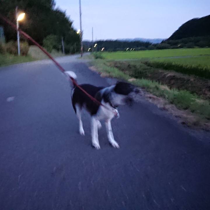 28af92c8 6bd0 405e 920a 690a6a7d5c6b 1534591222907