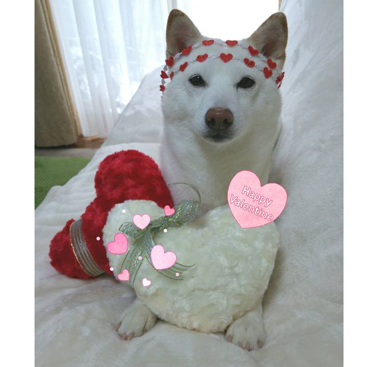 28af9ca1 29ea 4844 96f5 447c4a2572ae 1550101472270