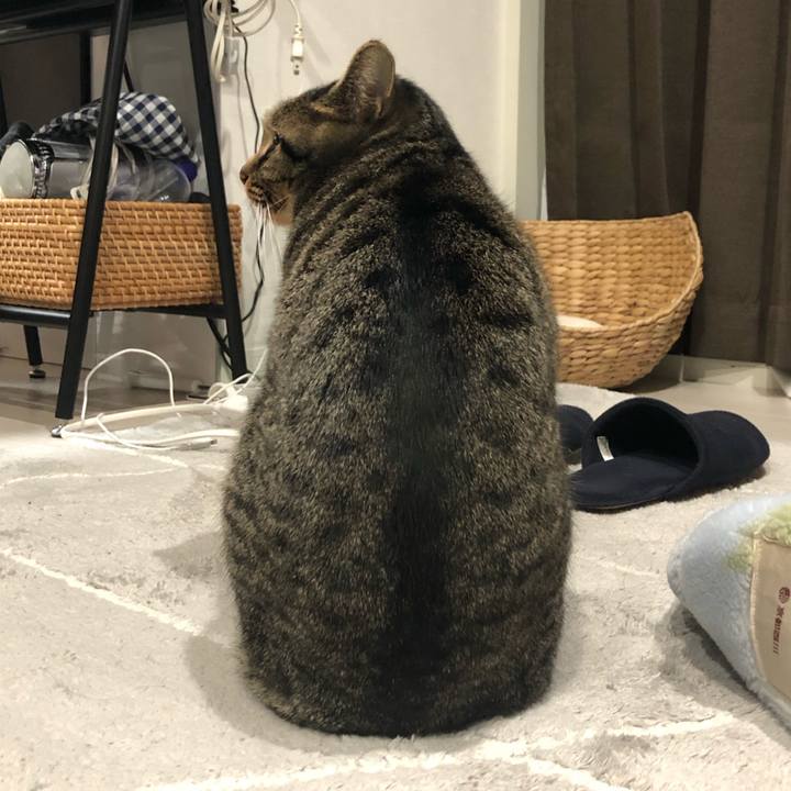 28afae85 276b 47c8 a62f b3153c126a1f 1576163116319