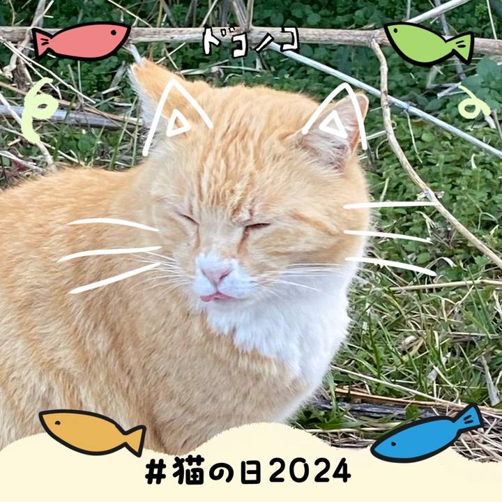 28afc325 985a 4404 a595 6660a7b3f2d7 1708581147878