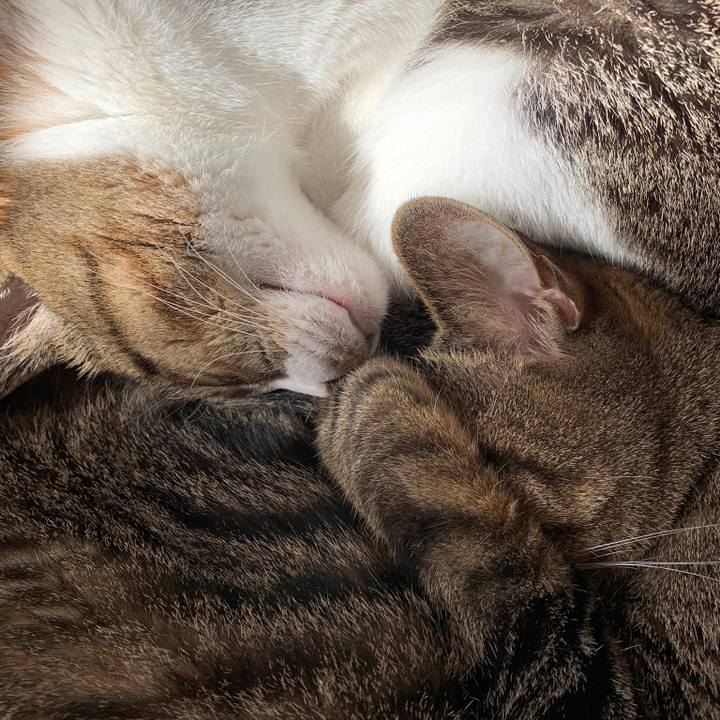 28afc86f 07bf 47e6 a270 746e2c030c06 1580086769554