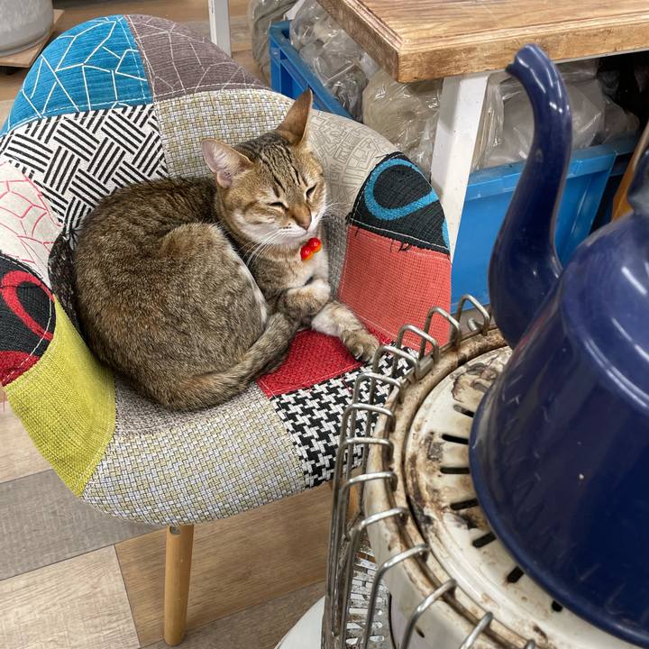 28afe809 92c7 4a3f ac3b ef52f063cd4d 1736996960560