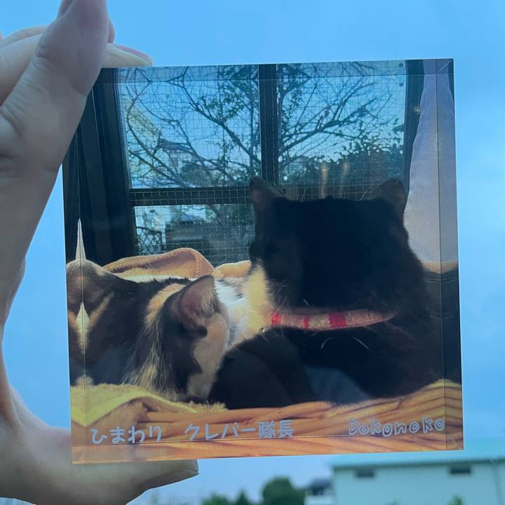 28b013c8 4be8 457e b202 ff347fba2c33 1751623275588