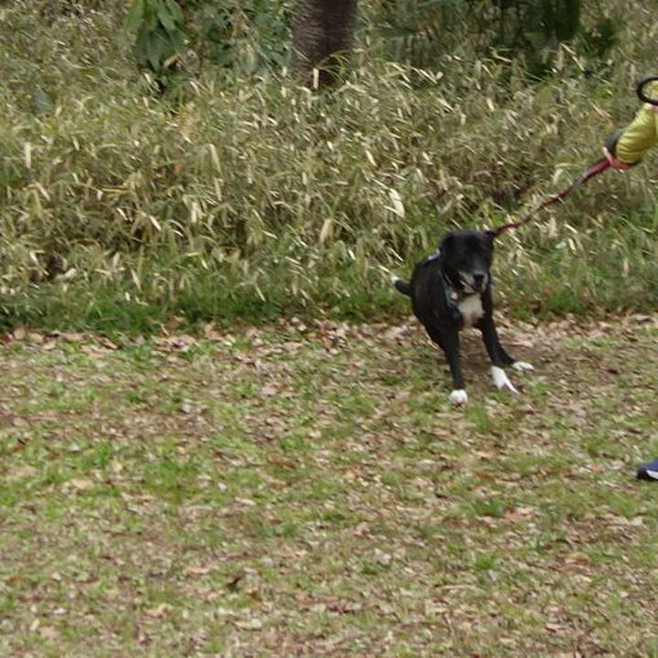 28b02f8d fb3a 40b8 8175 5e3fe26c917d 1710207185720