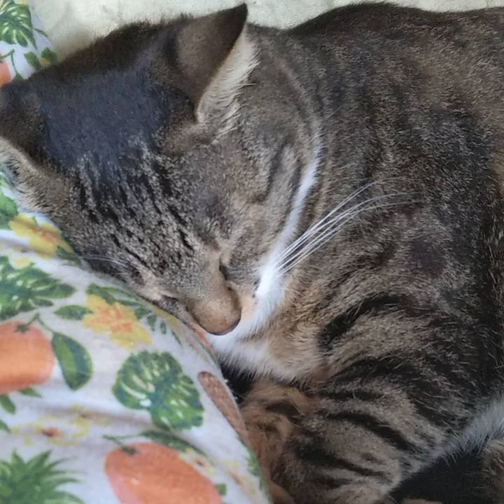 28b044b4 8aec 4345 8577 91e12268395b 1613490307486