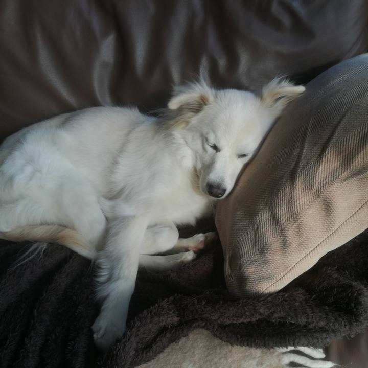 28b05e3e b3c2 48c3 9282 9311aeaa588f 1514351084379