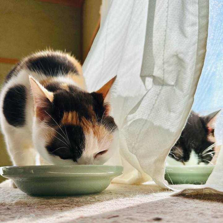 28b075c6 c201 42a8 bc8e 5e245d36ed99 1701829760409