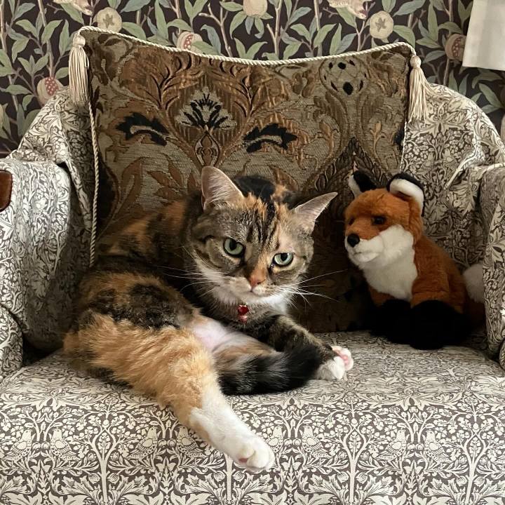 28b07a61 f3ea 4d16 92a4 072777d92236 1759477821214