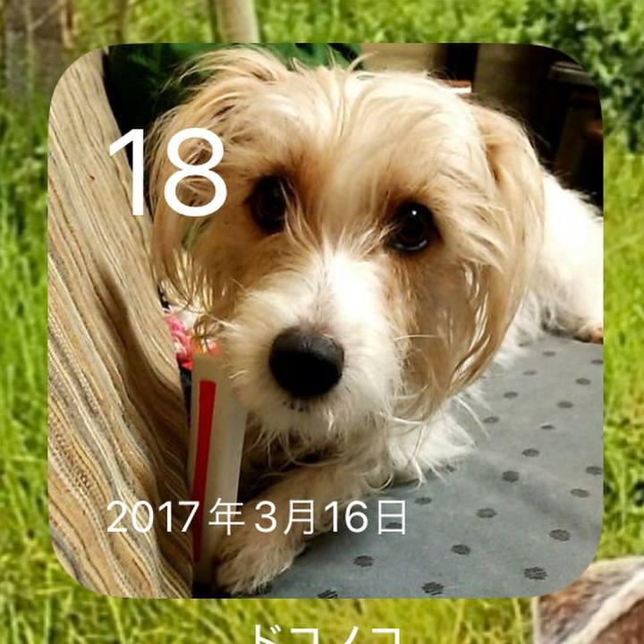 28b0960c 0d62 4139 b8fd 3c68963b15e8 1710709403262