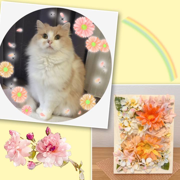 28b0a928 68ec 4326 8aac 2795b7a9129d 1675080362273