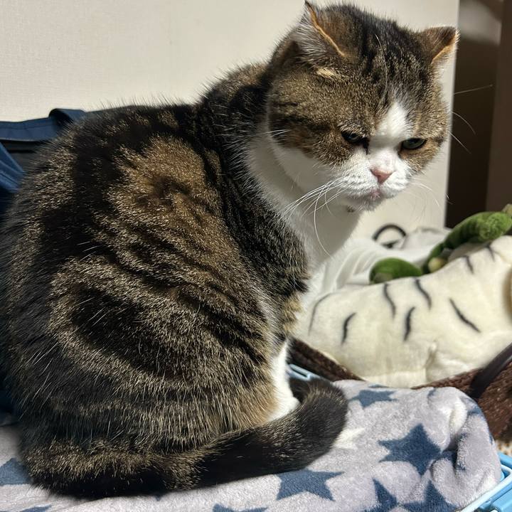 28b0e468 70c2 4043 bbf7 d70f77ab8d44 1761772824783