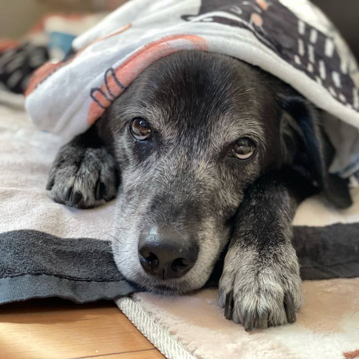 28b1036a 6255 4217 8d26 7e1aeca4fb44 1759982011307